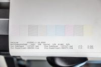 11880_Epson_IMG_7649