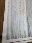 image (3)